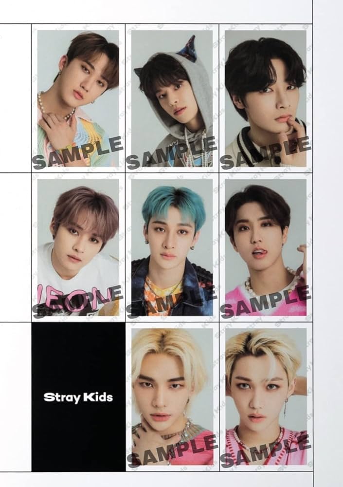 mini(ミニ) 2022年 7月号 |本 | 通販 | Amazon